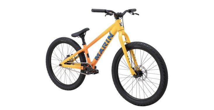 Bicicleta Dirt Alcatraz Aro 24