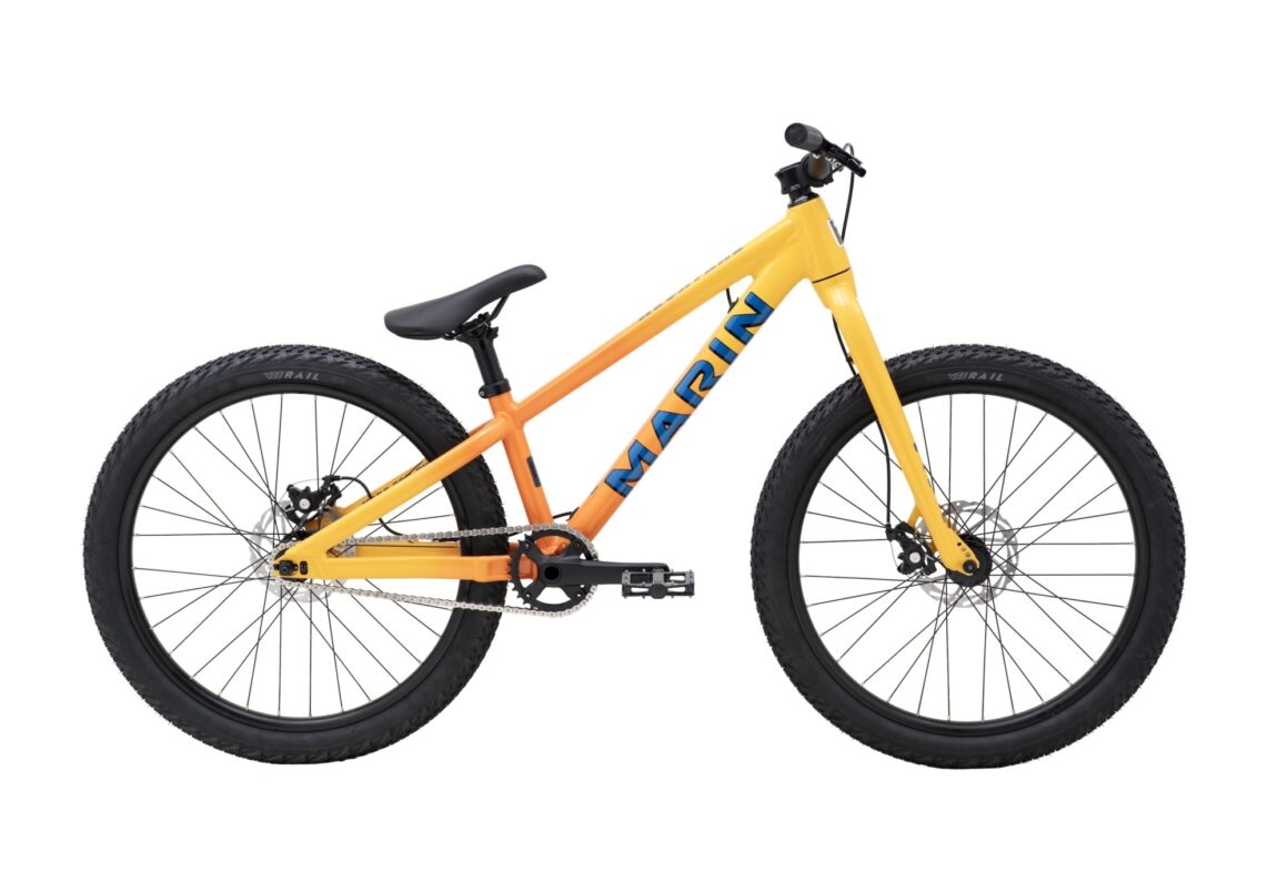 Bicicleta Dirt Alcatraz Aro 24