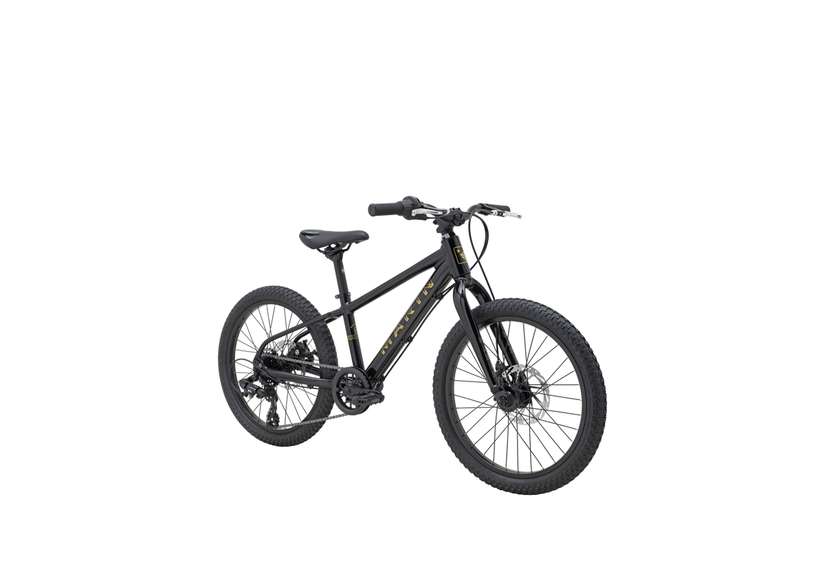 Bicicleta Infantil Bayview Trail Aro 20