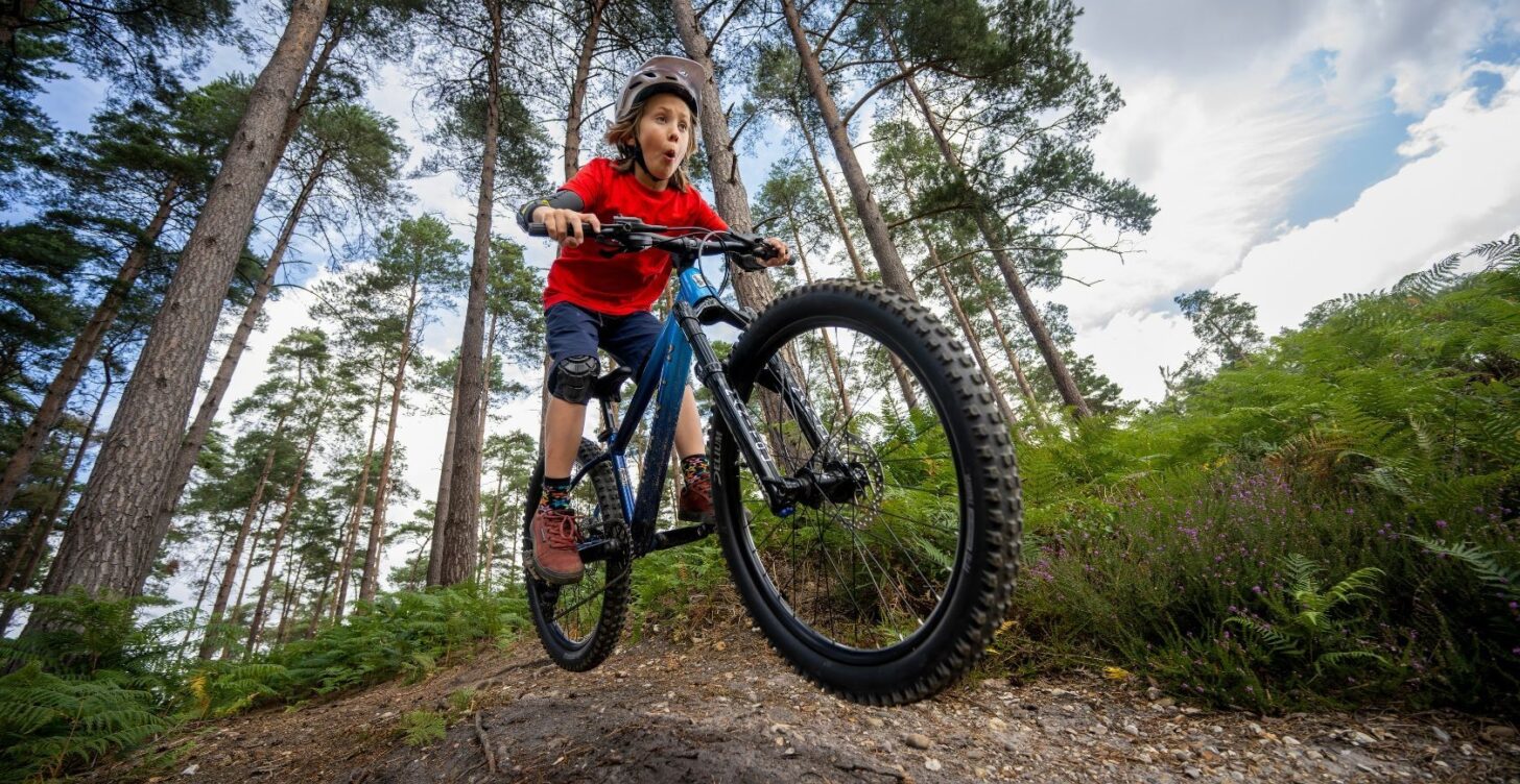 Bicicleta Mountain Bike San Quentin Aro 24