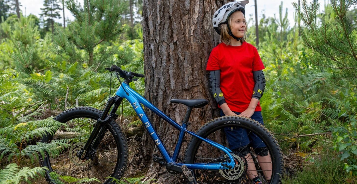 Bicicleta Mountain Bike San Quentin Aro 24