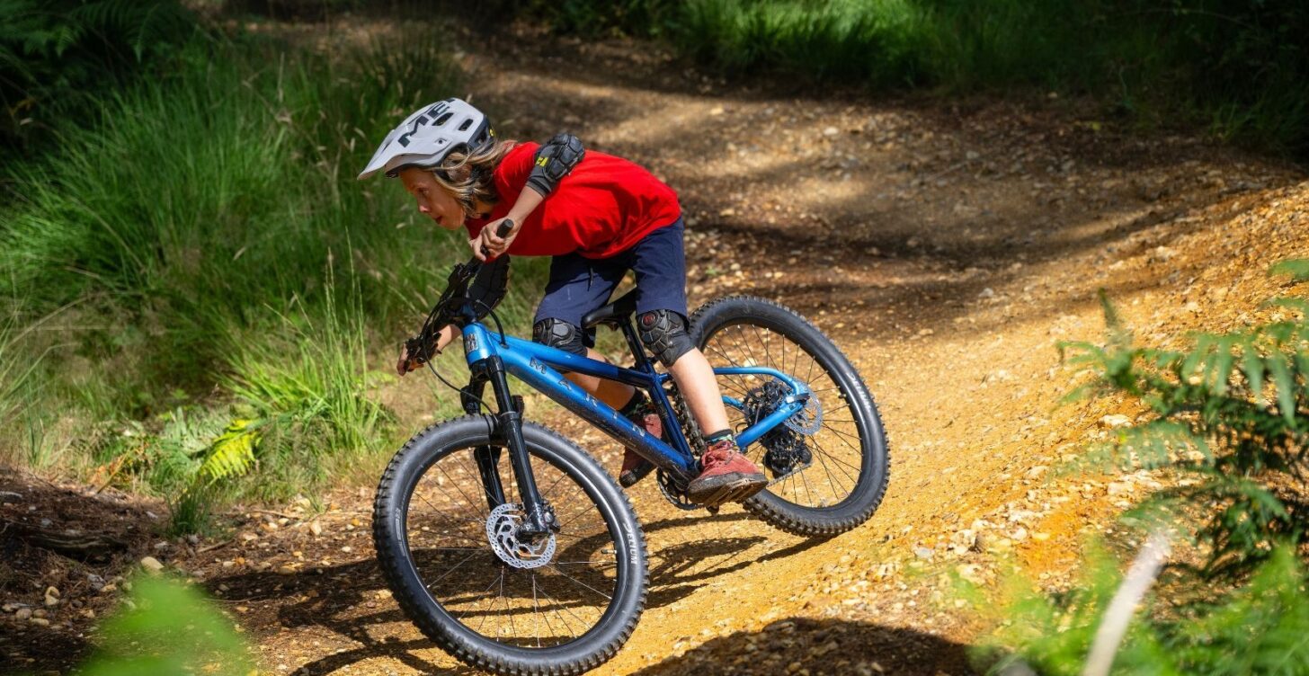 Bicicleta Mountain Bike San Quentin Aro 24