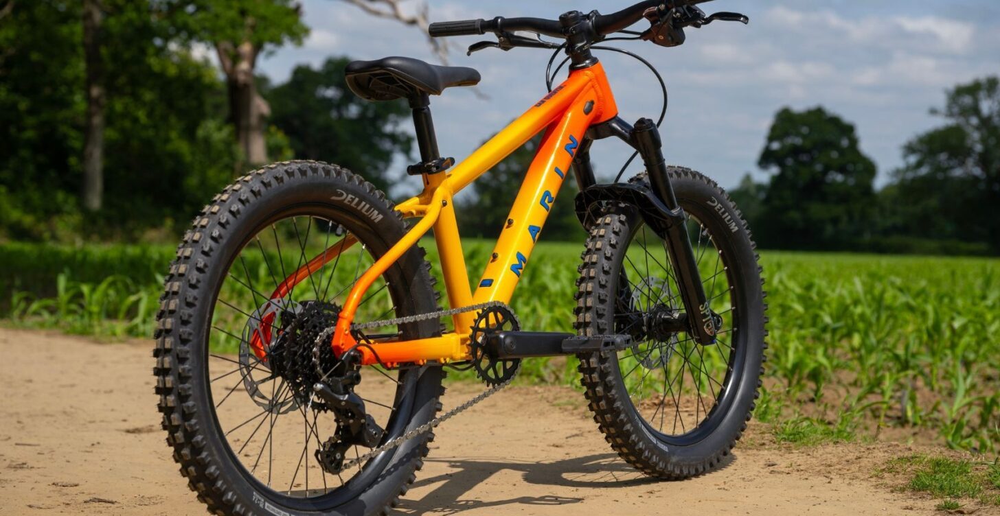 Bicicleta Infantil San Quentin Aro 20 PREVENTA