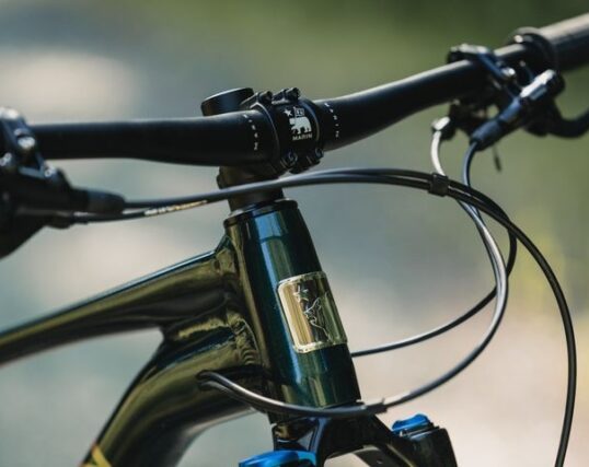 Bicicleta Mountain Bike Team Marin 1 Aro 29