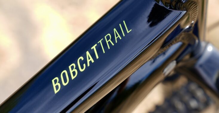 Bicicleta Mountain Bike Bobcat Trail 4 Aro 29