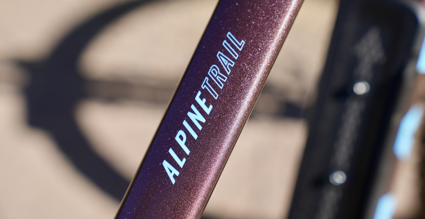 Bicicleta Doble suspensión Enduro Alpine Trail 1 Mullet