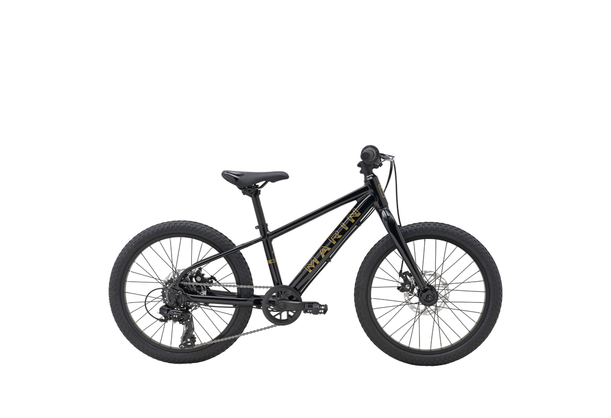 Bicicleta Infantil Bayview Trail Aro 20